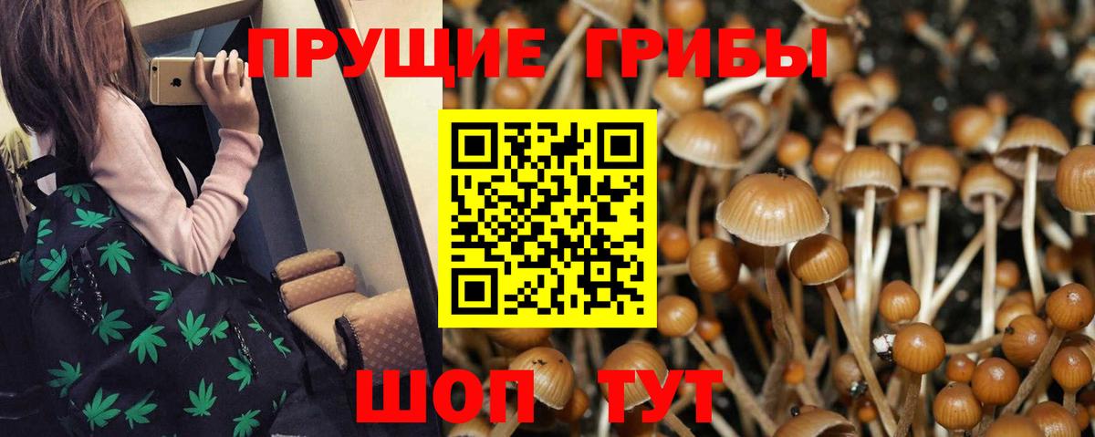 Орехово-Зуево  Галлюциногенные грибы прущие грибы  Галлюциногенные грибы мицелий  Вход с VPN 