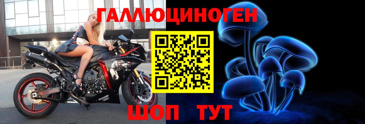 Псилоцибиновые грибы Cubensis Орехово-Зуево